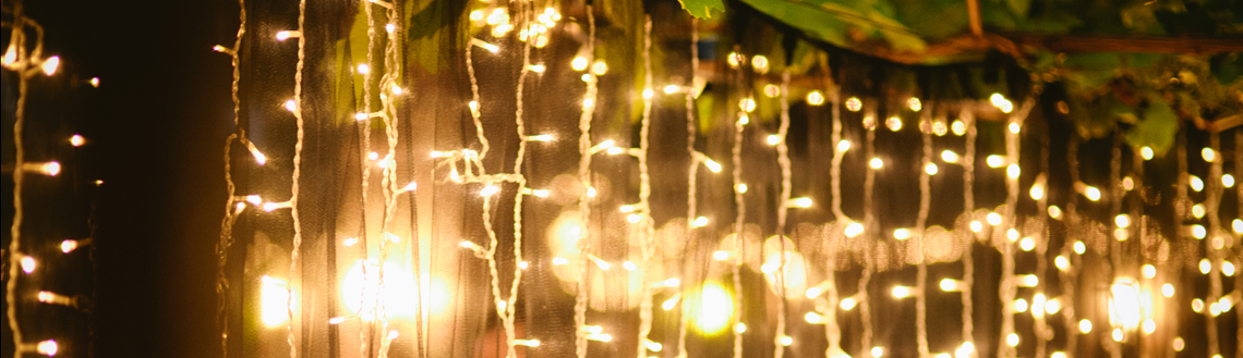 Christmas Lunch Party