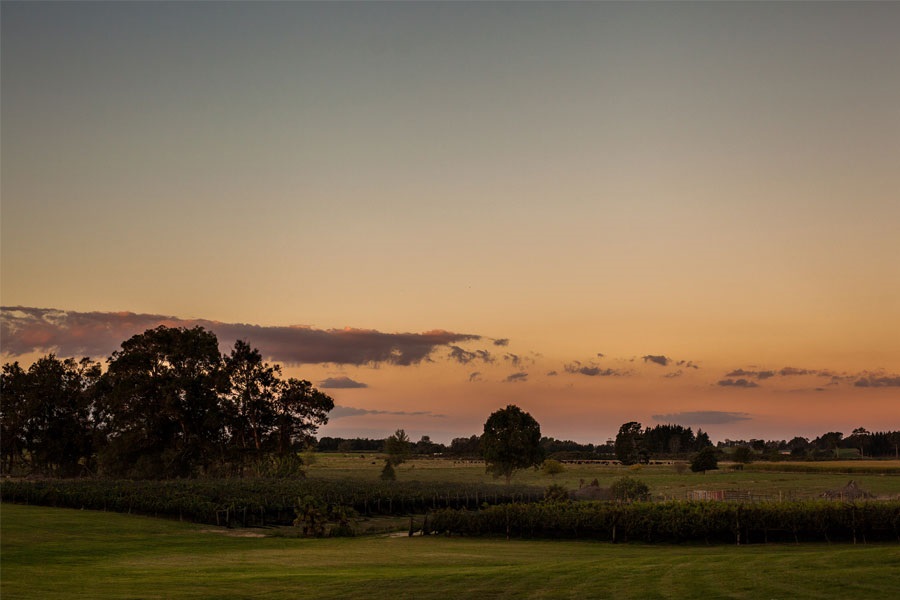 winery and vineyard